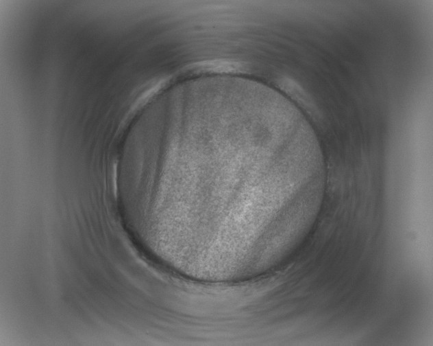X0000079310014200612011828
