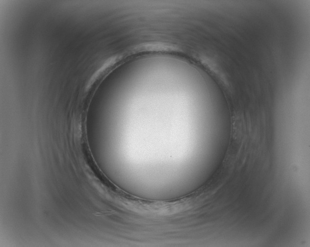X0000079310015200612011828