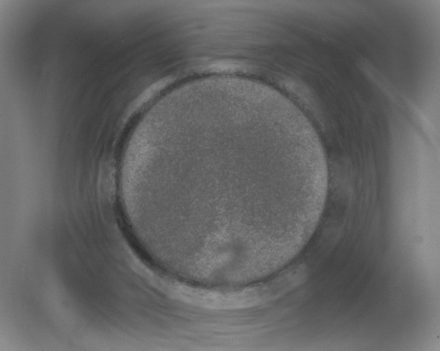 X0000079310016200612011828