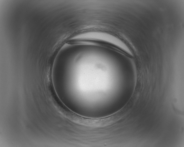 X0000079310023200612011828