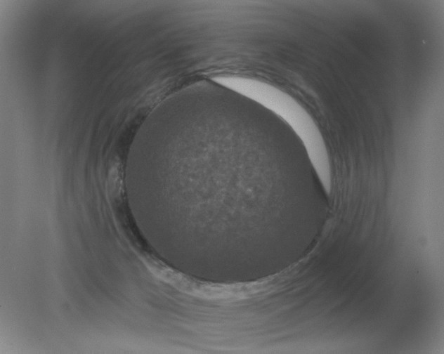 X0000079310029200612011828