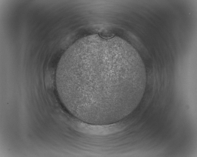 X0000079310030200612011828