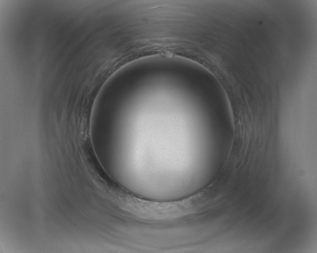 X0000079310031200612011828