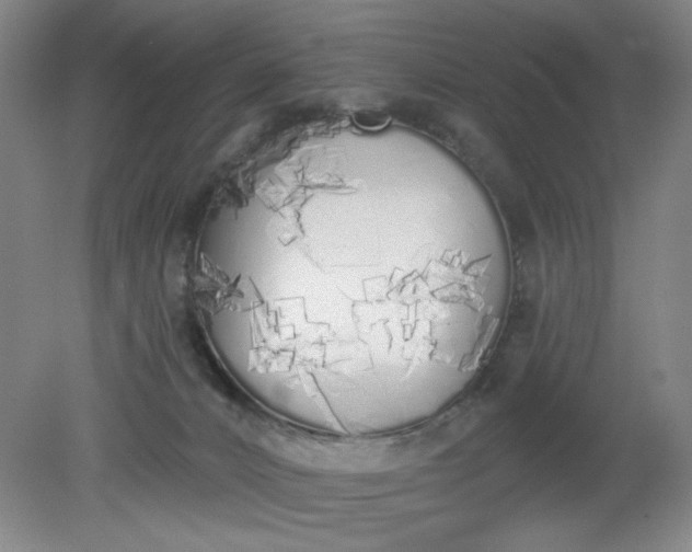 X0000079310032200612011828