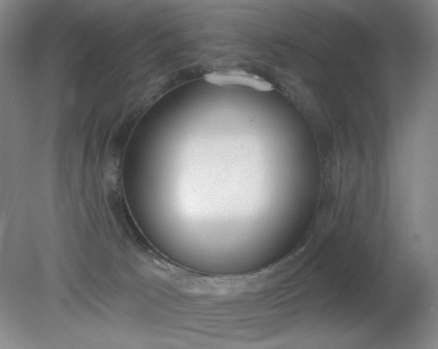 X0000079310033200612011828