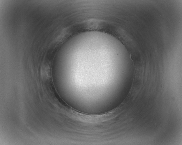 X0000079310035200612011828