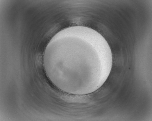 X0000079310036200612011828