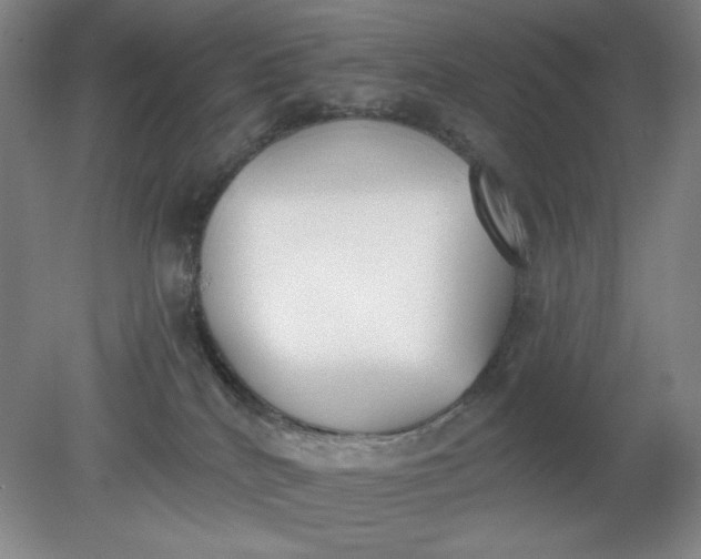 X0000079310040200612011828