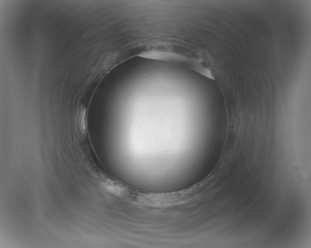 X0000079310041200612011828