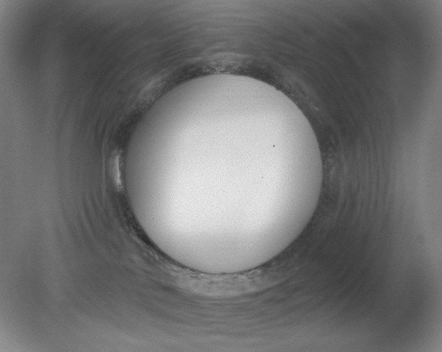 X0000079310042200612011828