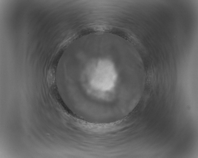 X0000079310043200612011828