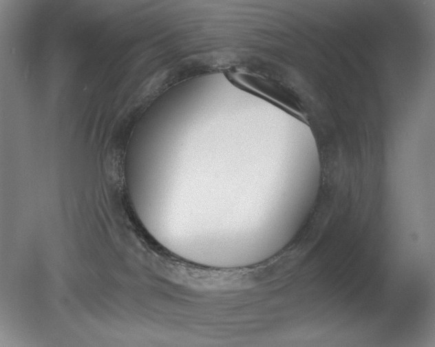 X0000079310044200612011827