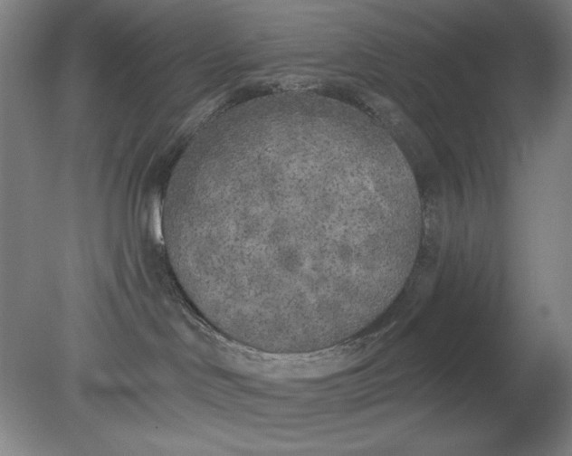 X0000079310046200612011827