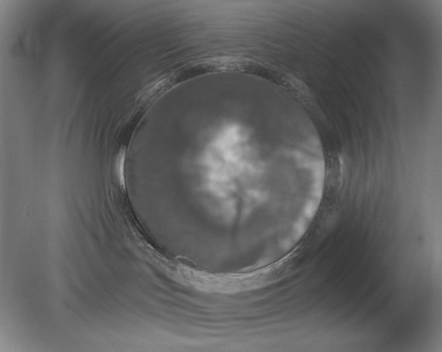 X0000079310047200612011827