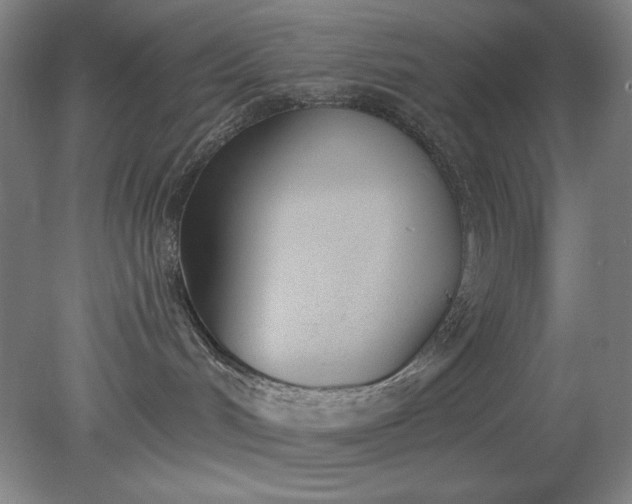X0000079310048200612011827