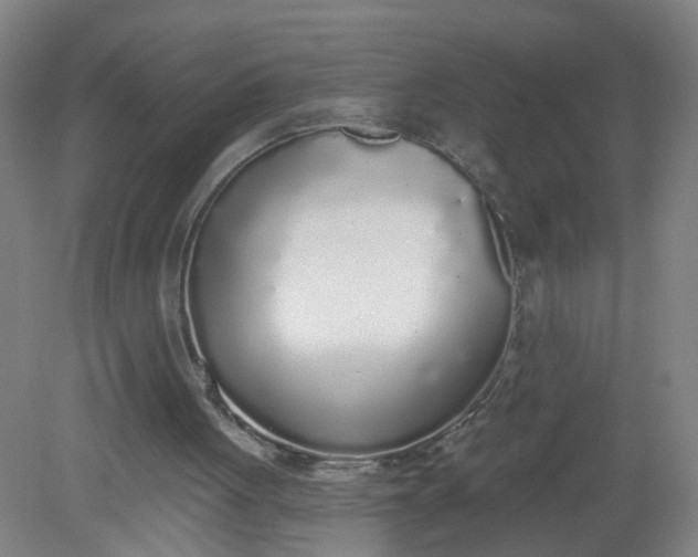 X0000079310051200612011827