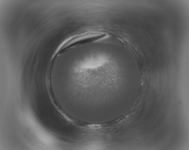 X0000079310052200612011827