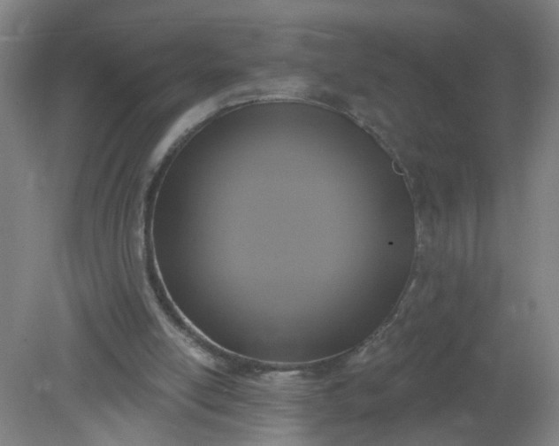 X0000079310054200612011827