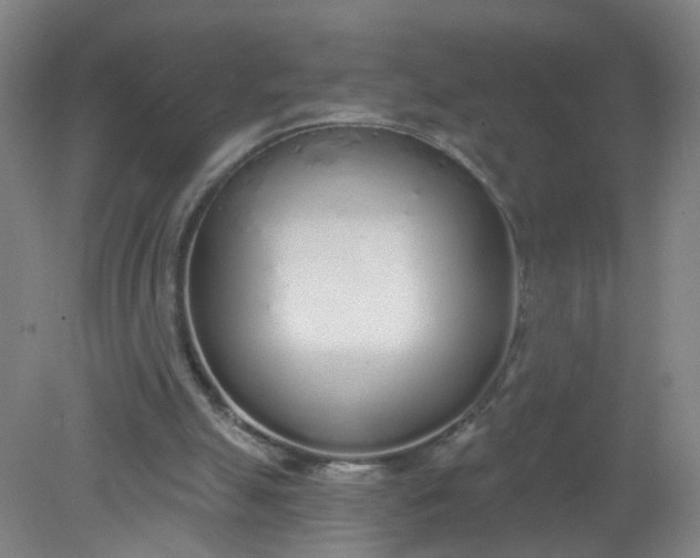 X0000079310055200612011827