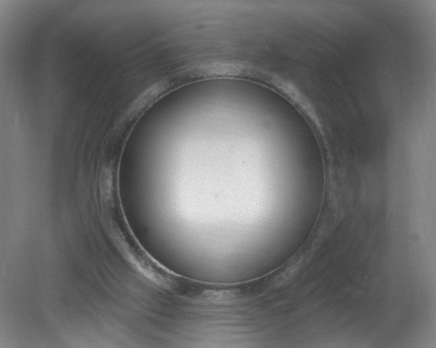 X0000079310057200612011827