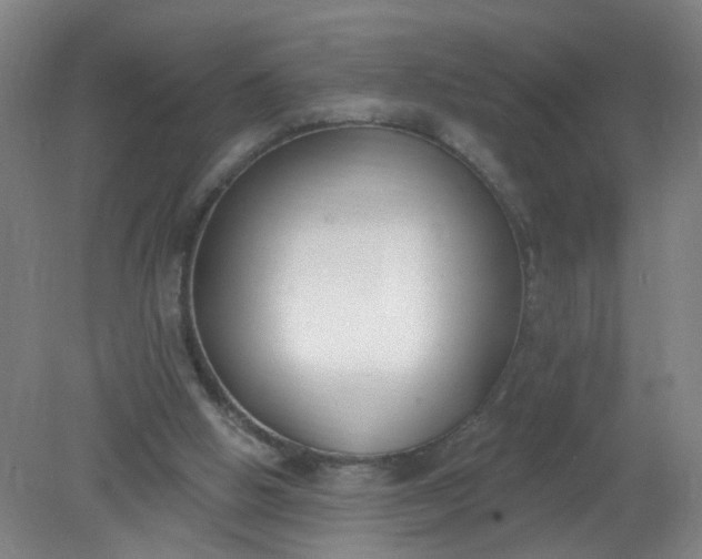X0000079310058200612011827