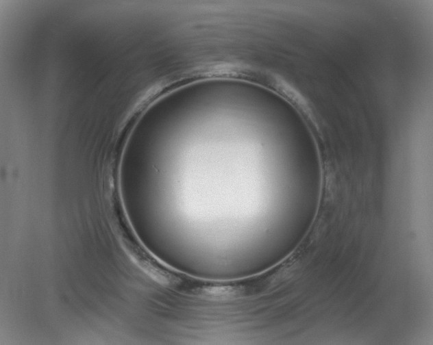 X0000079310059200612011827