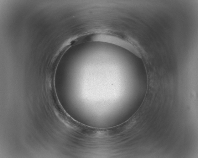 X0000079310060200612011827