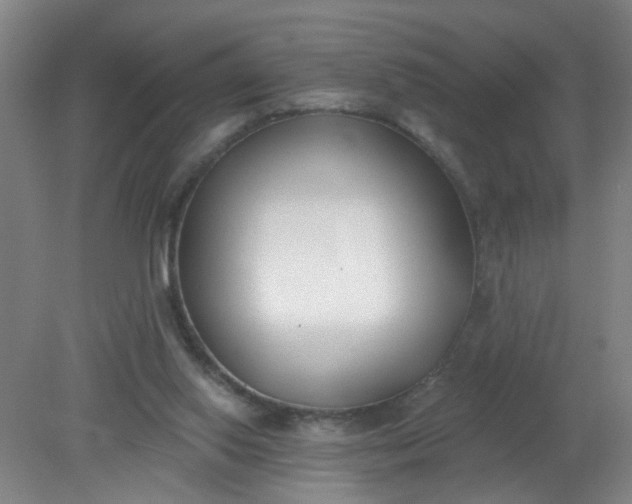 X0000079310062200612011827