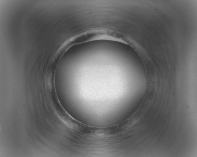 X0000079310064200612011827