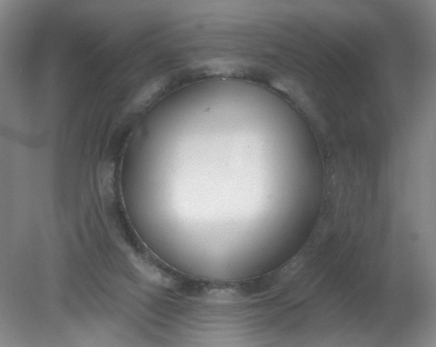 X0000079310066200612011827