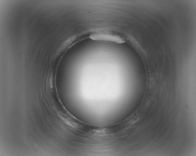 X0000079310068200612011827