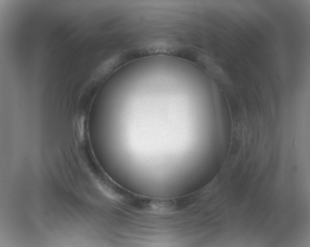 X0000079310070200612011827
