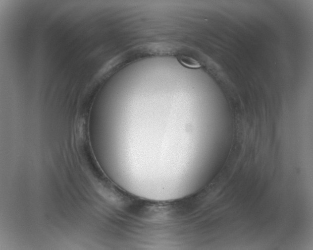 X0000079310071200612011827