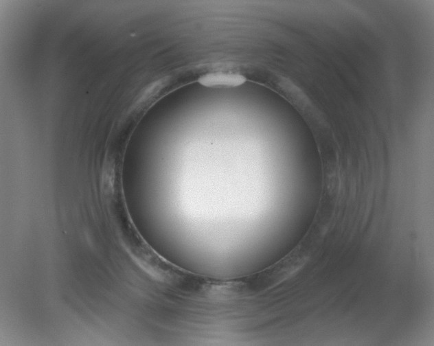 X0000079310072200612011827