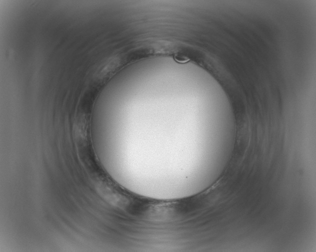 X0000079310078200612011827