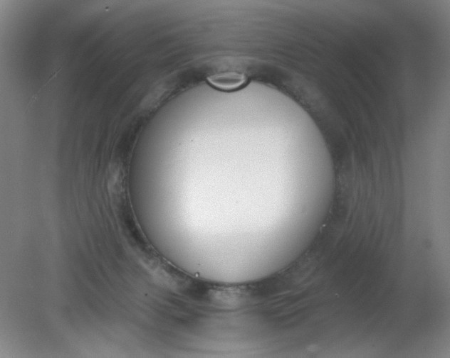 X0000079310079200612011827