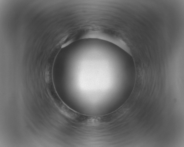 X0000079310080200612011827