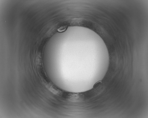 X0000079310083200612011827