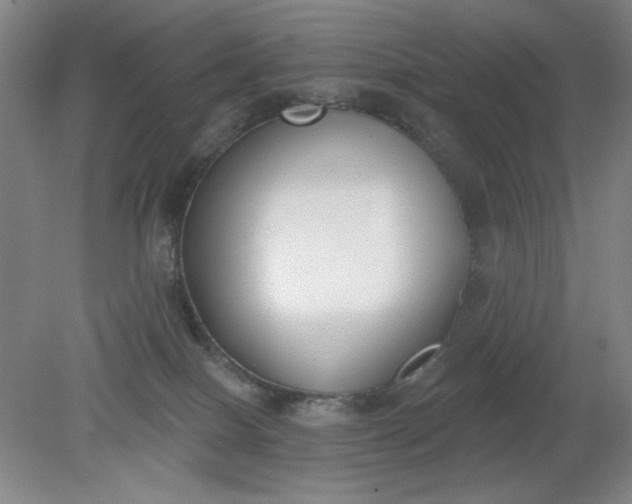 X0000079310086200612011827