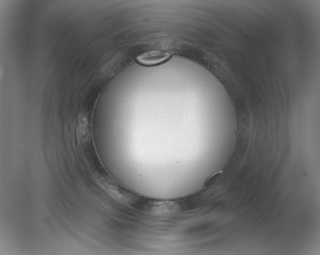 X0000079310087200612011827