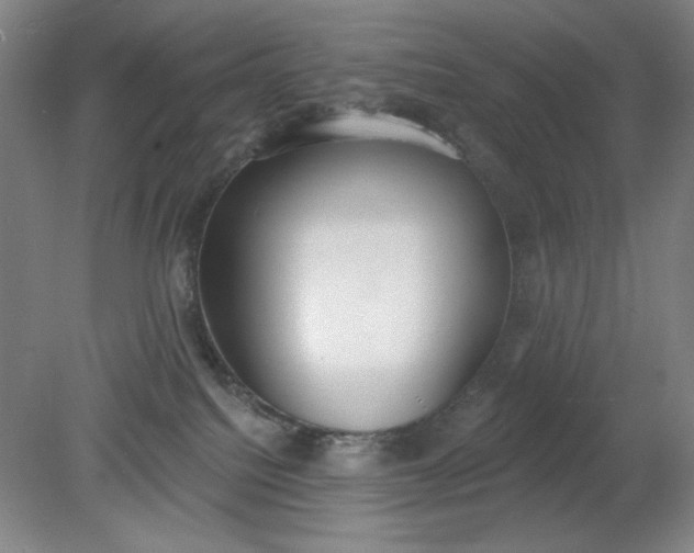 X0000079310088200612011827