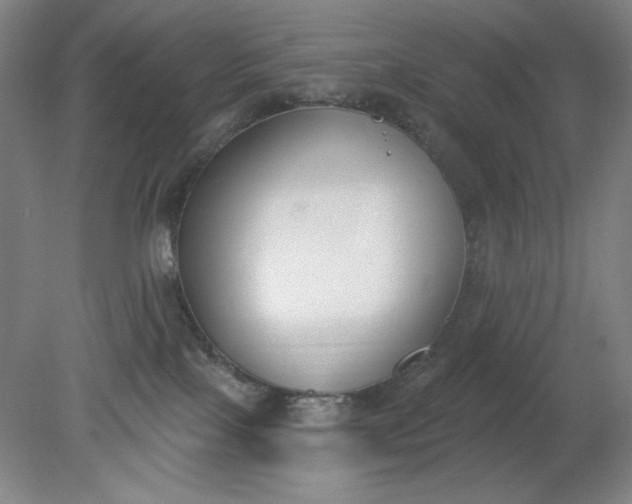 X0000079310089200612011827