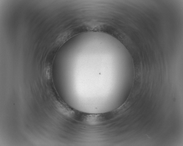 X0000079310090200612011827