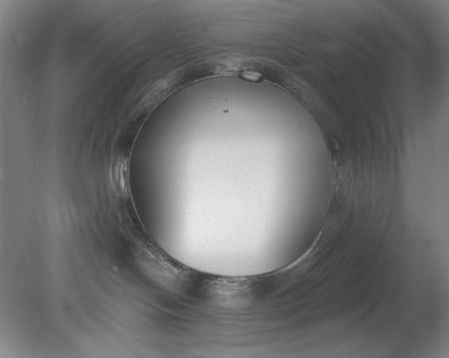X0000079310094200612011827