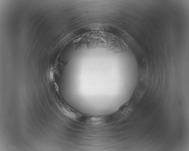 X0000079310095200612011827