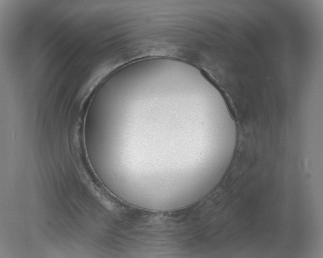 X0000079310098200612011827