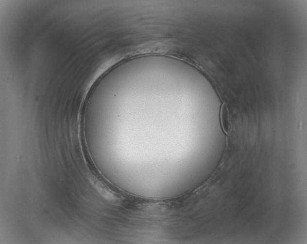 X0000079310100200612011827