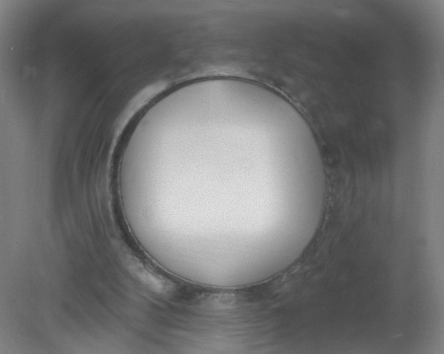 X0000079310104200612011826