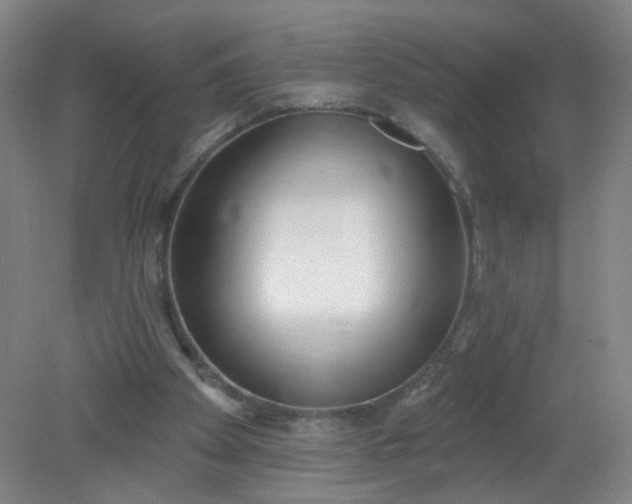 X0000079310105200612011826