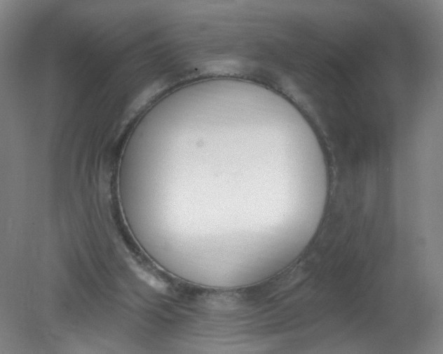 X0000079310106200612011826